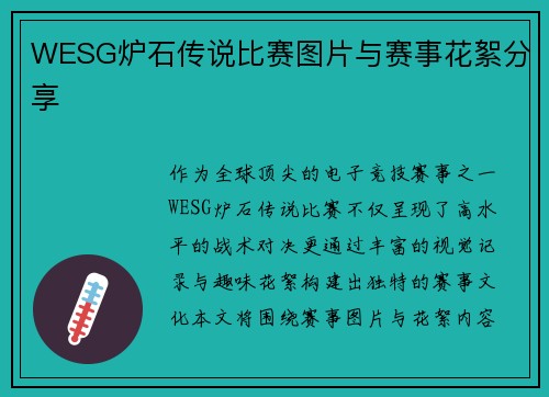 WESG炉石传说比赛图片与赛事花絮分享