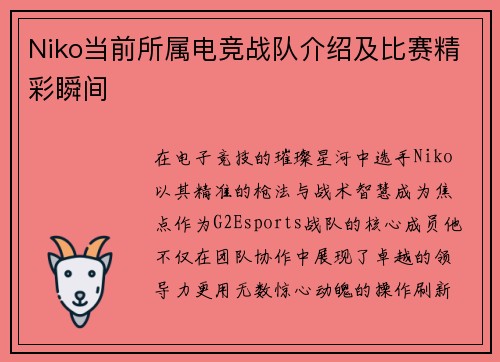 Niko当前所属电竞战队介绍及比赛精彩瞬间